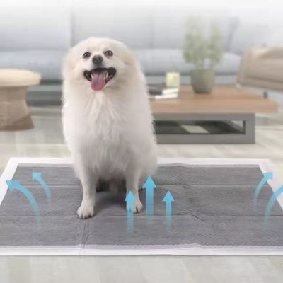 Шляпы для туалетов для собак с Sandia или Sumitomo SAP и индивидуальным цветом