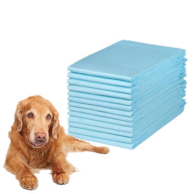 Тип товара PEE PADS 60 x 60 см Проницаемая пленка для собак