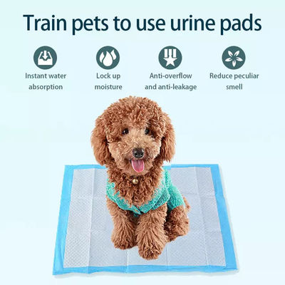 45x60 см Пет Pee Pad 5 слой поглощающий собака и щенка тренировочный подкладка Подходит для всех домашних животных